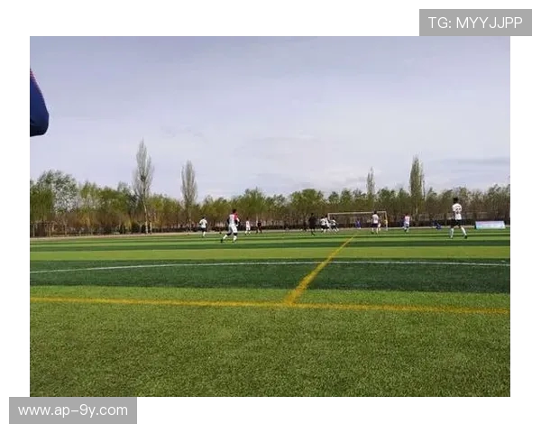 全面展示甘孜足球队员风采与成长故事多维档案全景介绍精彩呈现录